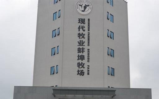 现代牧业